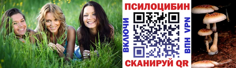 Купить закладки  Кимовск  Псилоцибиновые грибы прущие грибы 
